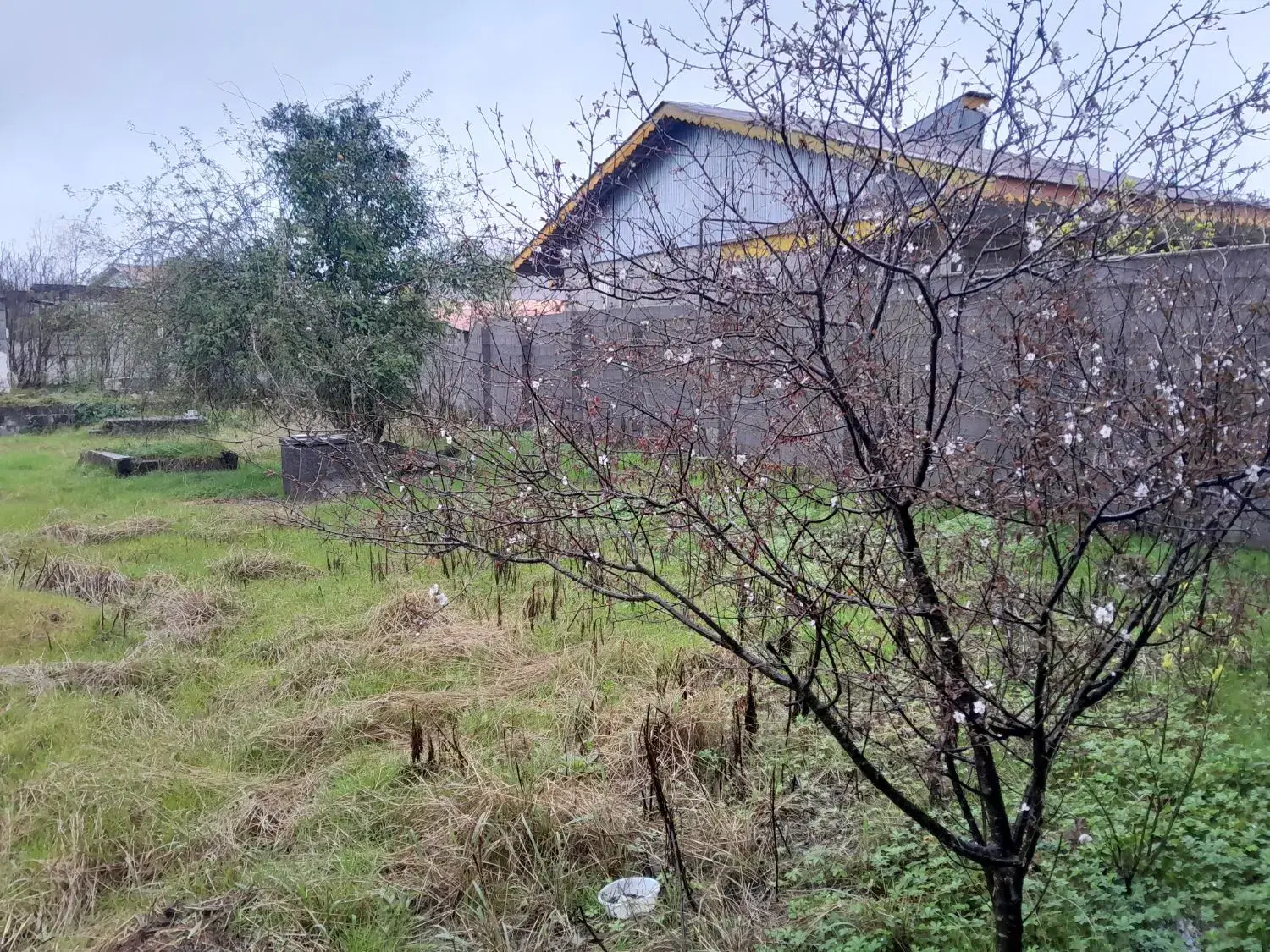 تصویر املاک 117696