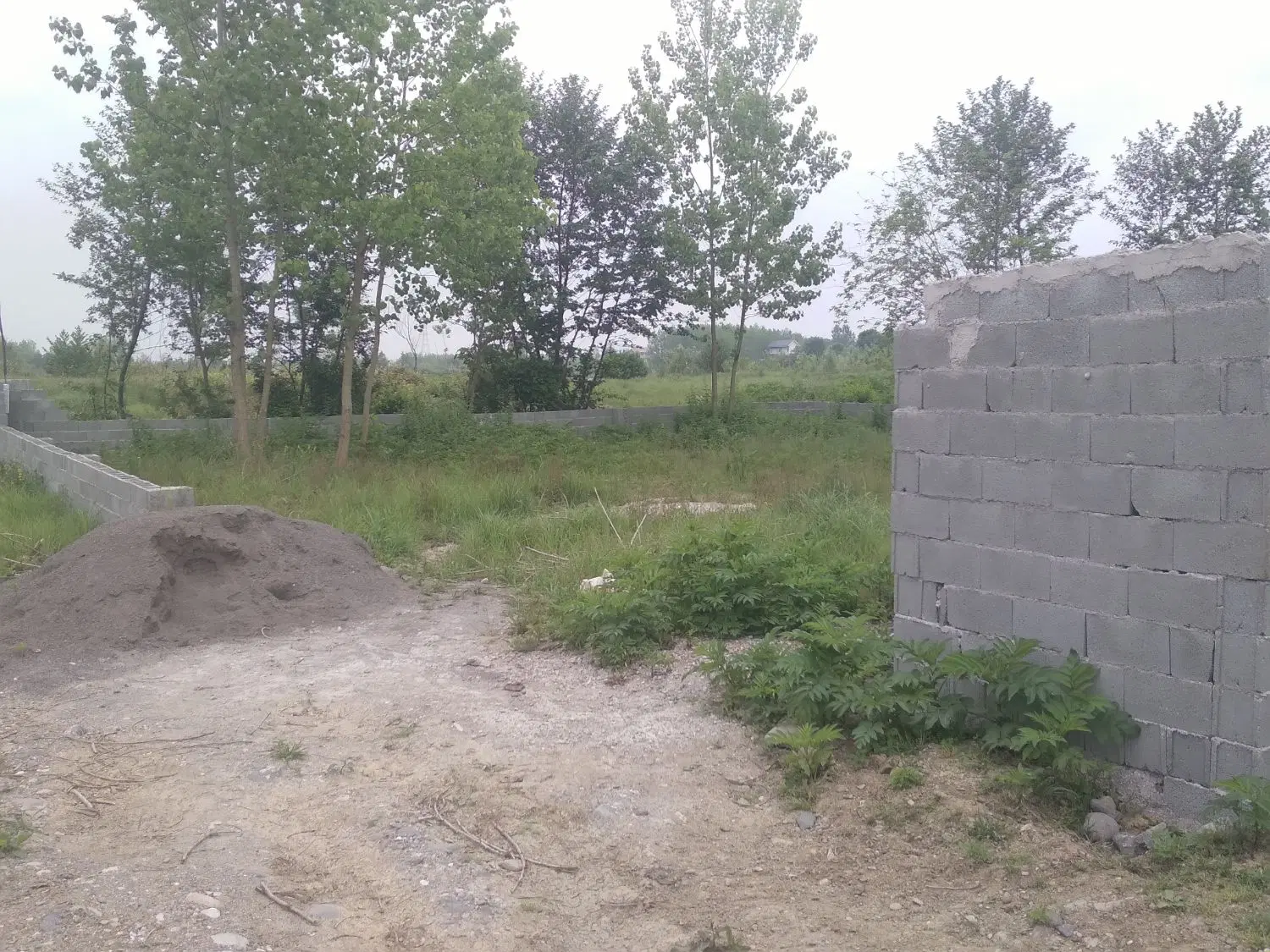 تصویر املاک 61991
