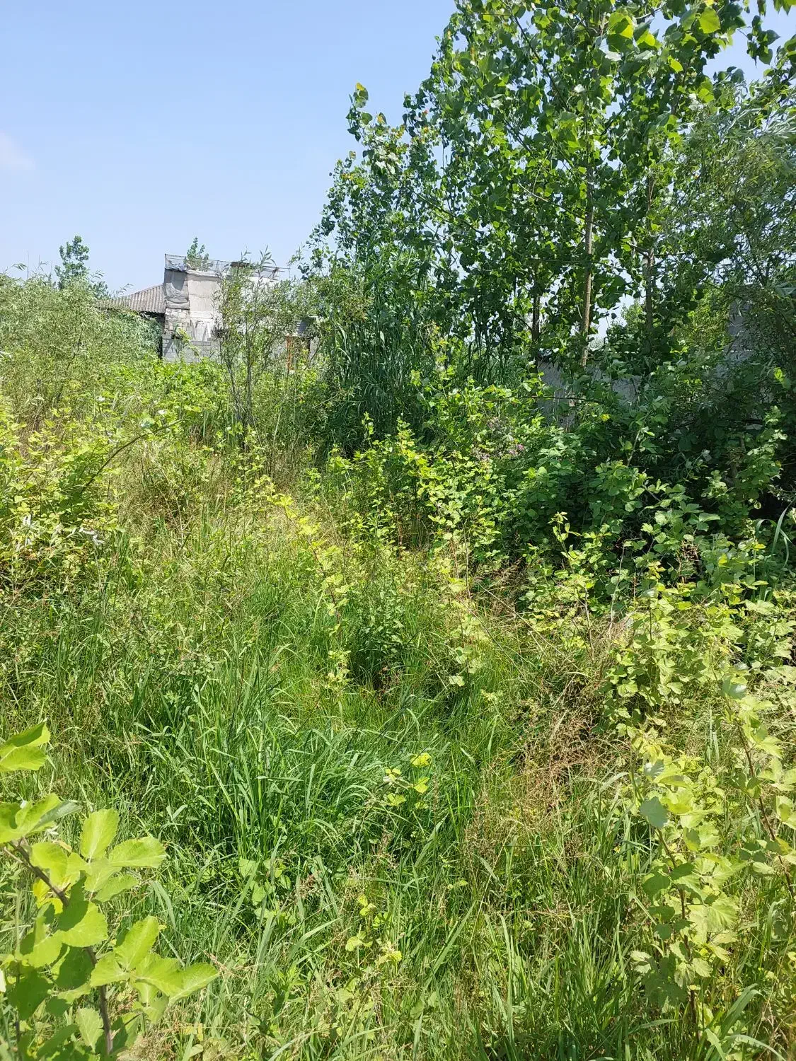 تصویر املاک 48525