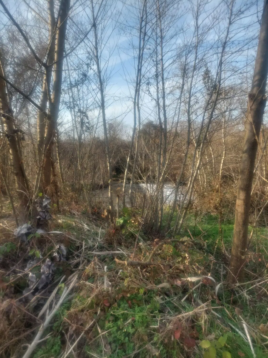 تصویر املاک 87420