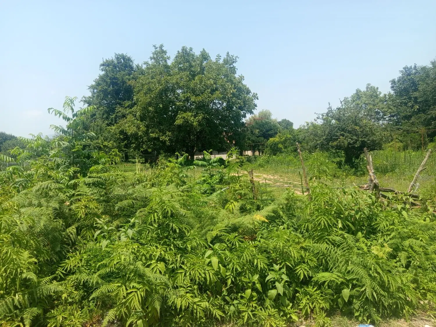 تصویر املاک 90843