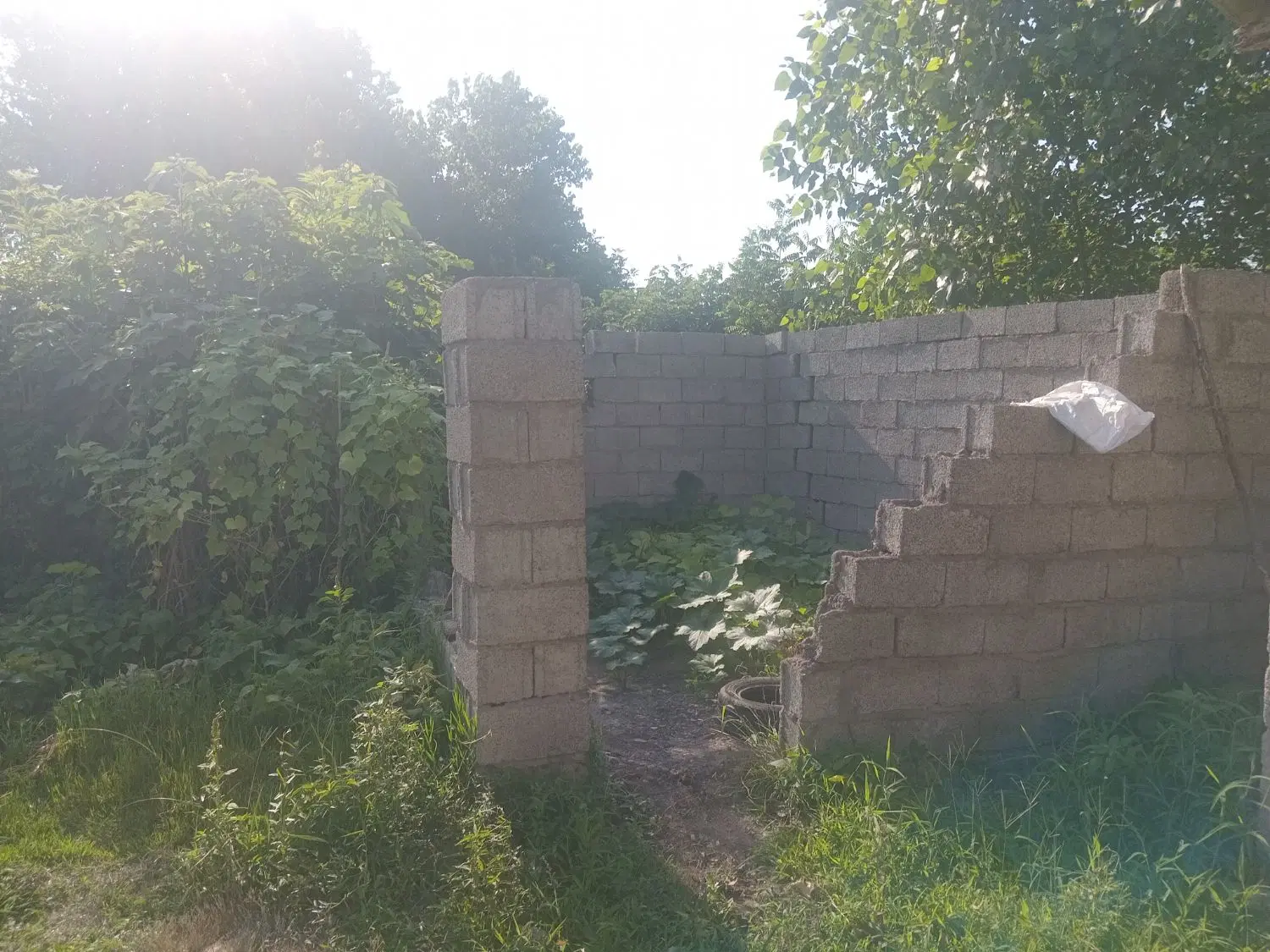تصویر املاک 82829