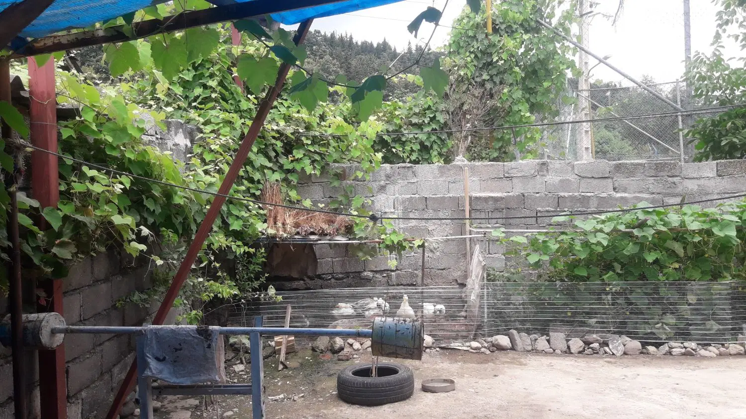 تصویر املاک 97727
