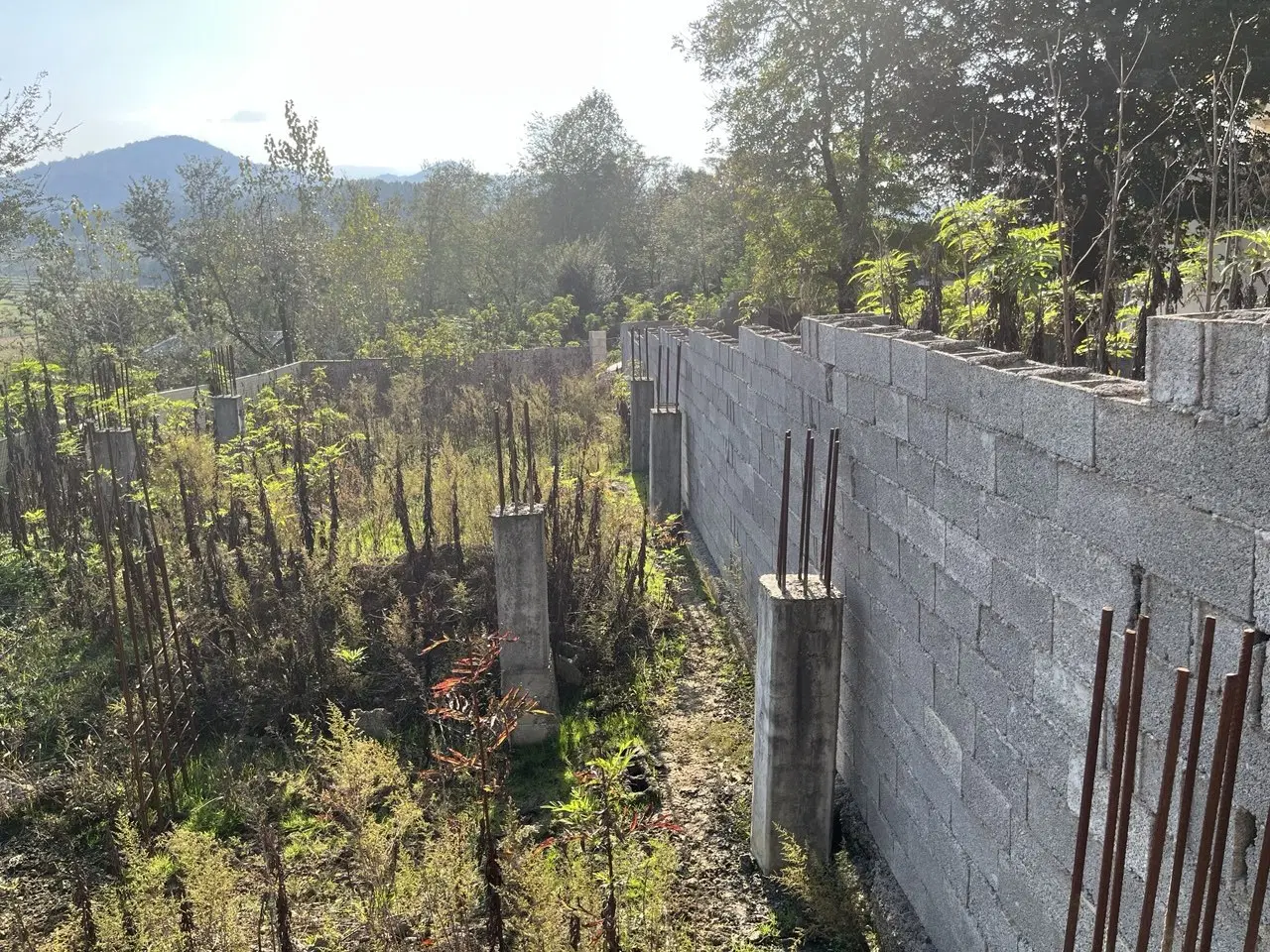 تصویر املاک 124058