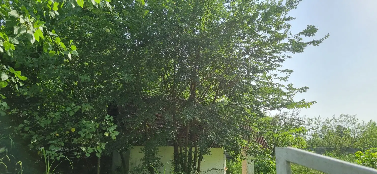 تصویر املاک 111261