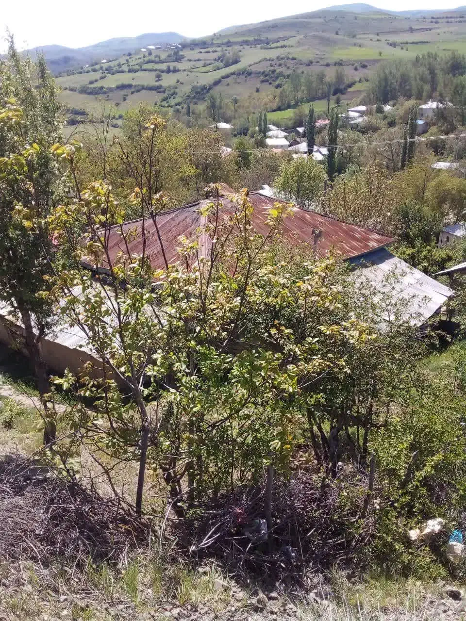 تصویر املاک 38521