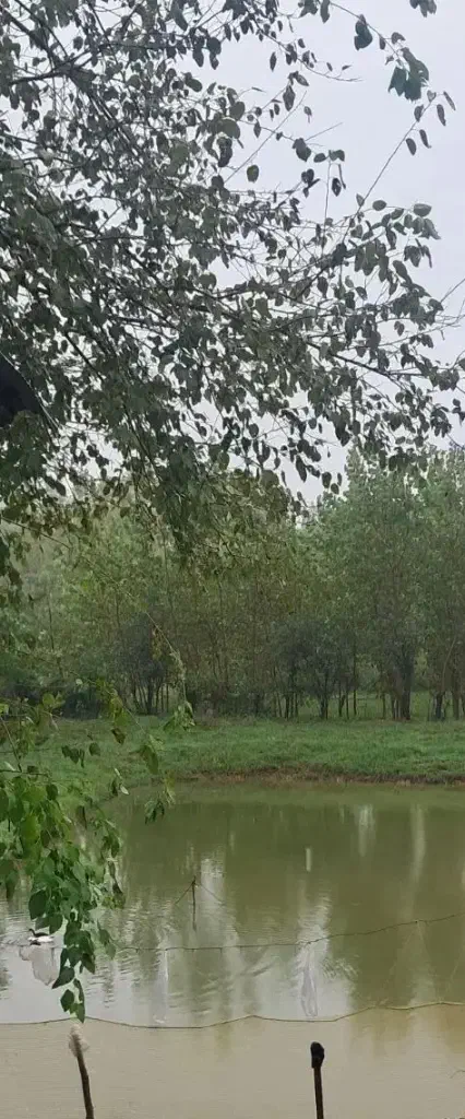 تصویر املاک 143557