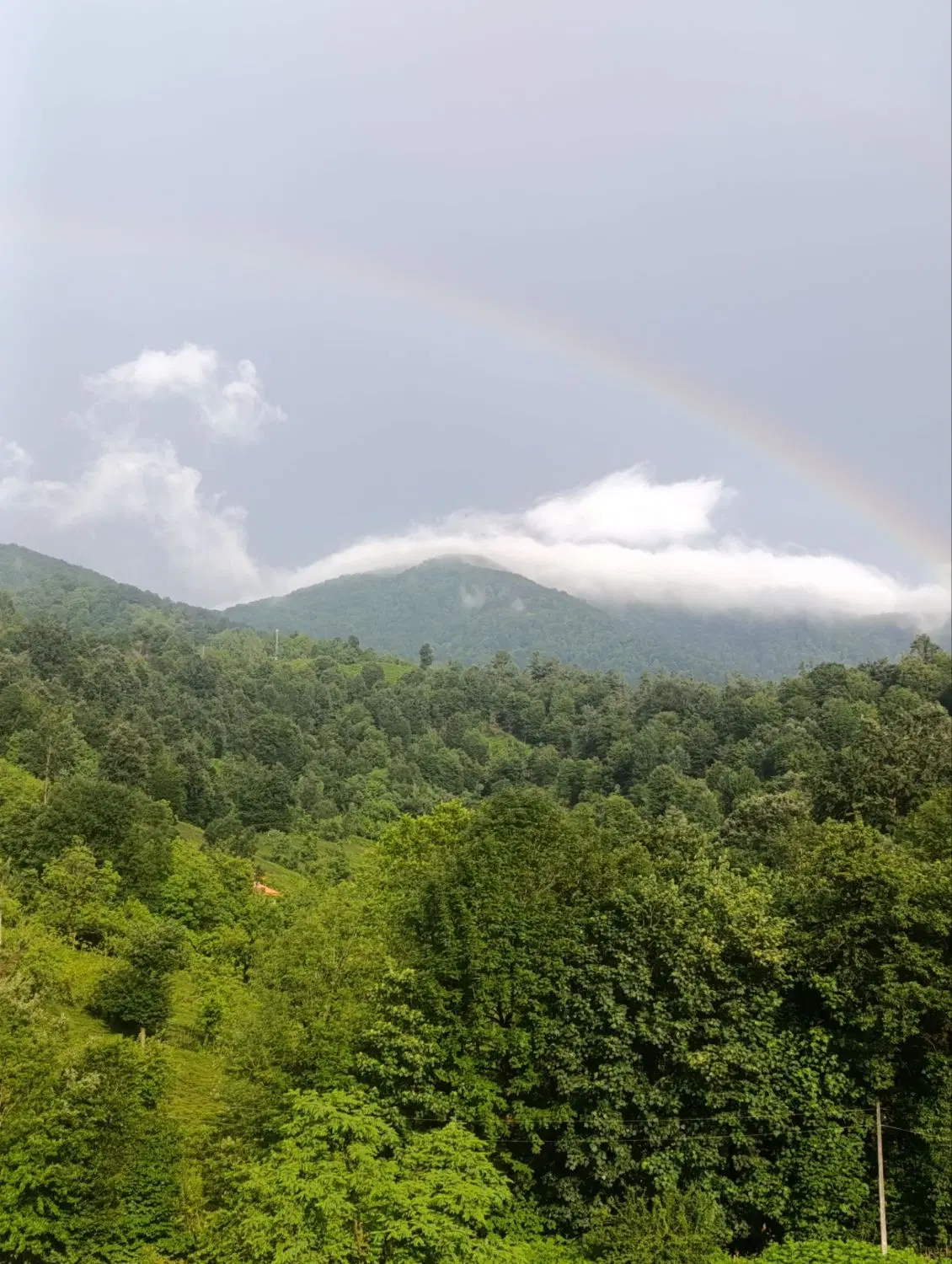 تصویر املاک 76701