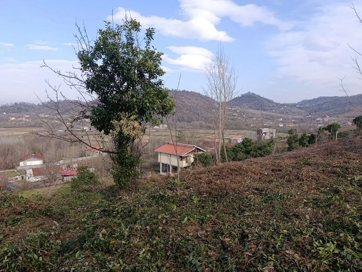تصویر املاک 117307