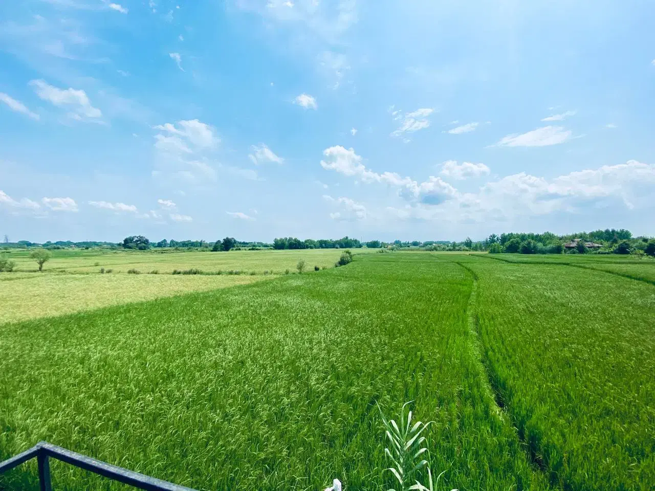 تصویر املاک 62151