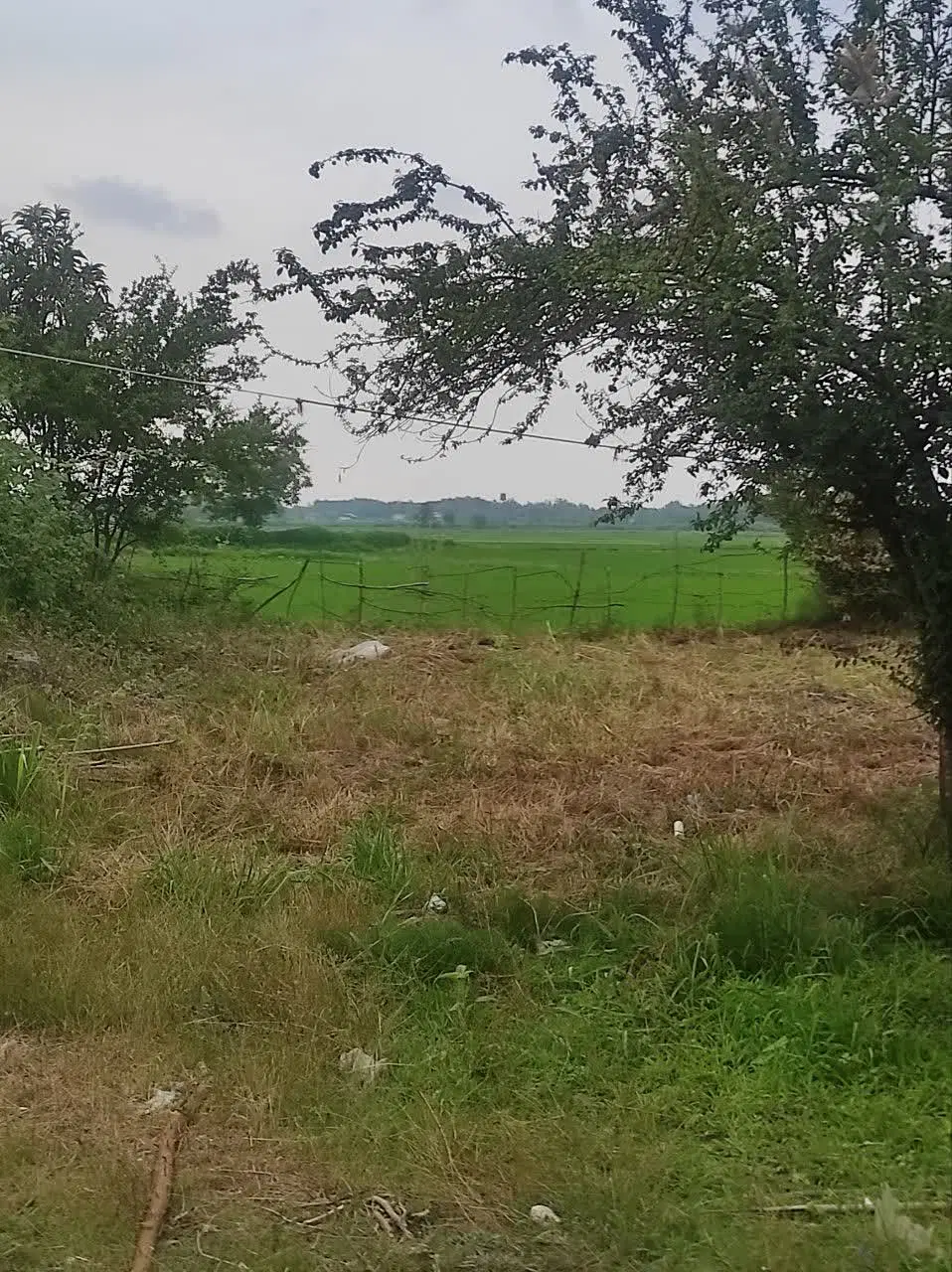 تصویر املاک 96404