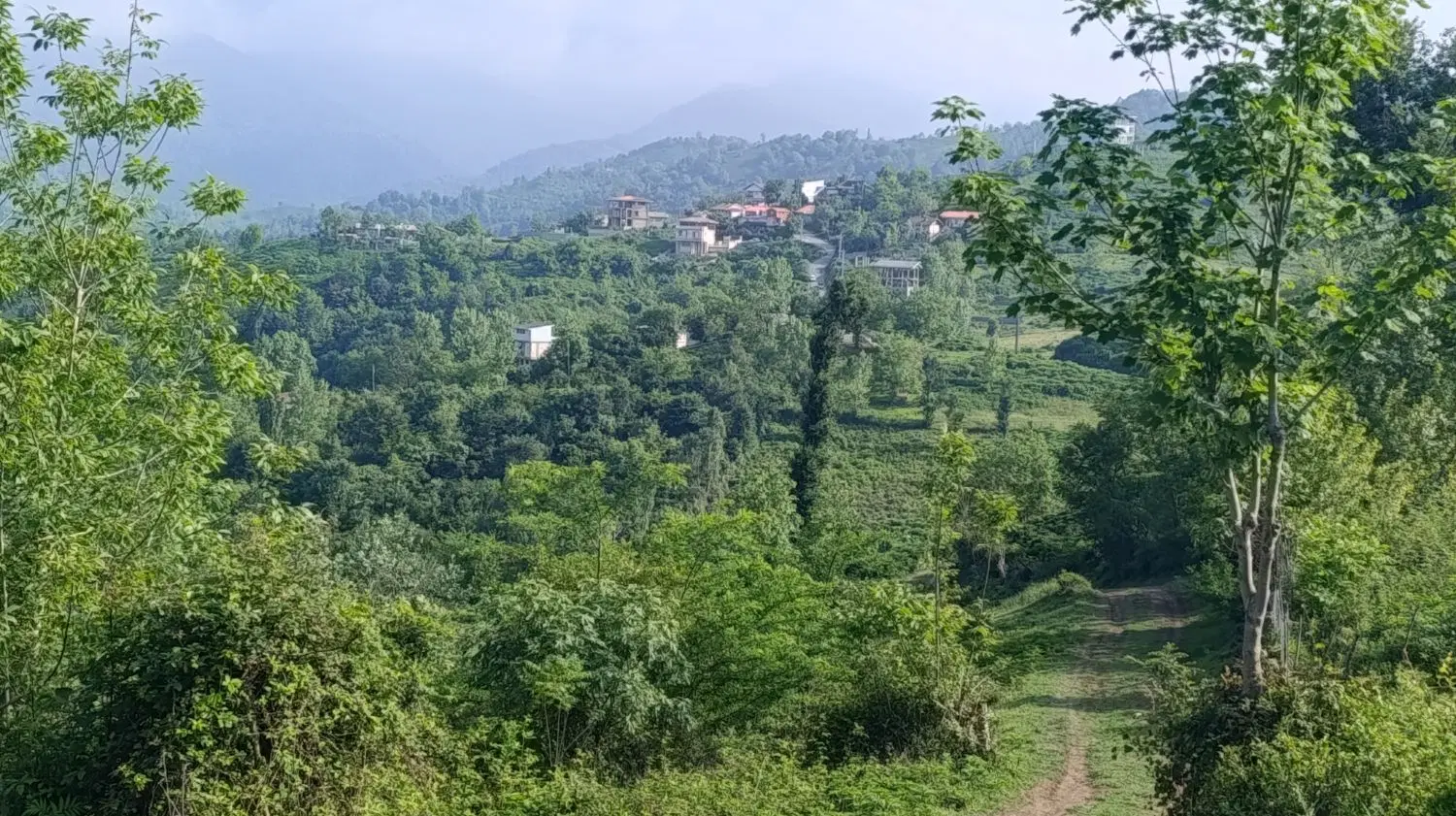 تصویر املاک 114960