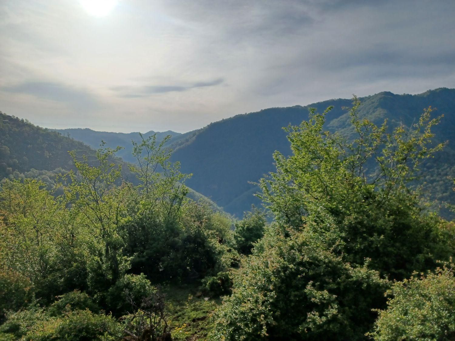 تصویر املاک 105208