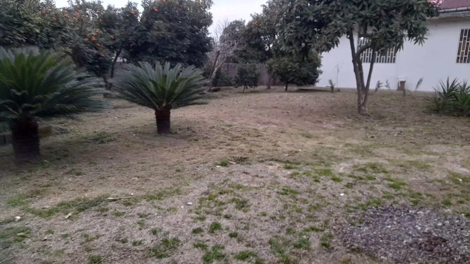 تصویر املاک 44686