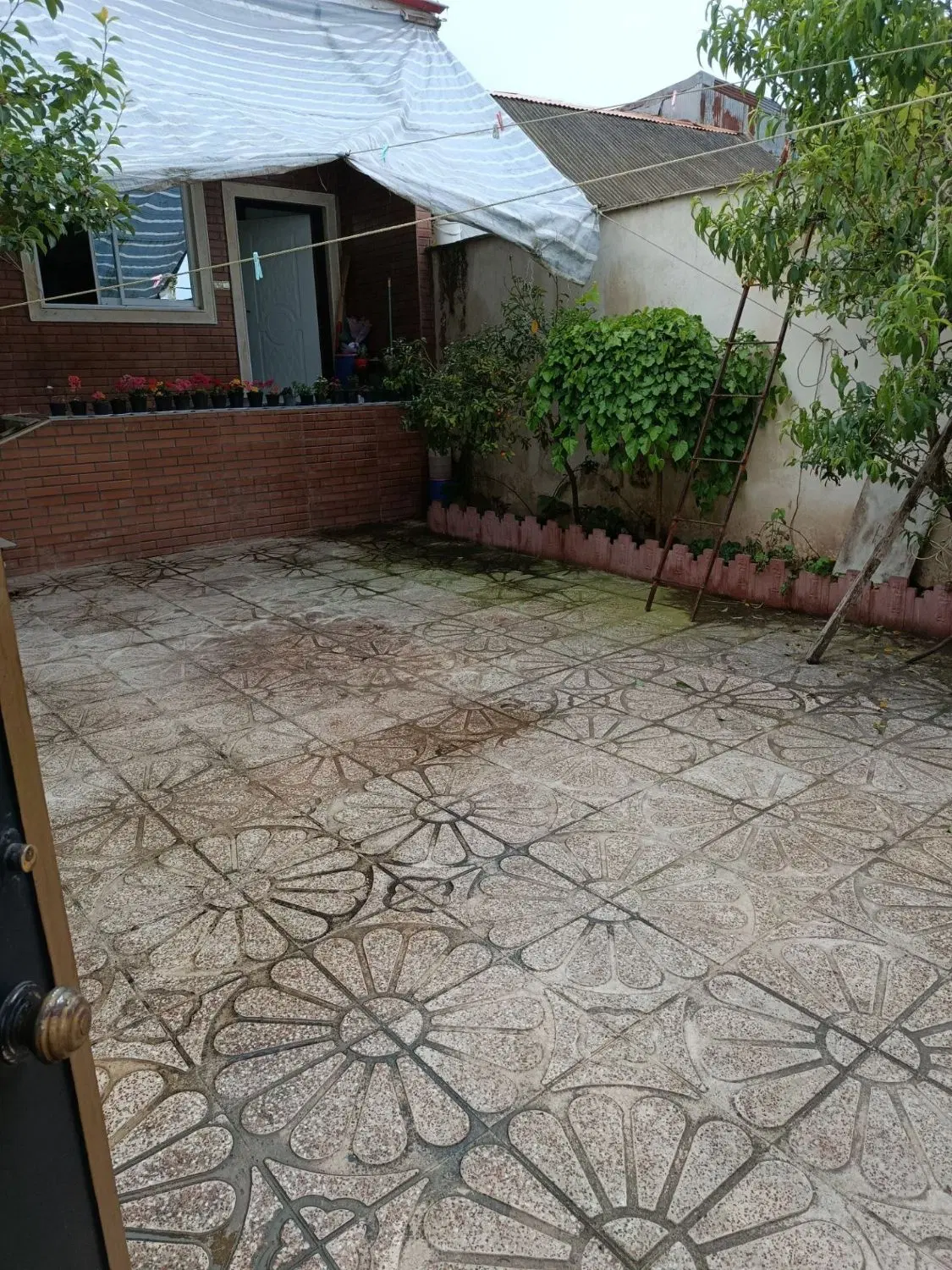 تصویر املاک 95570