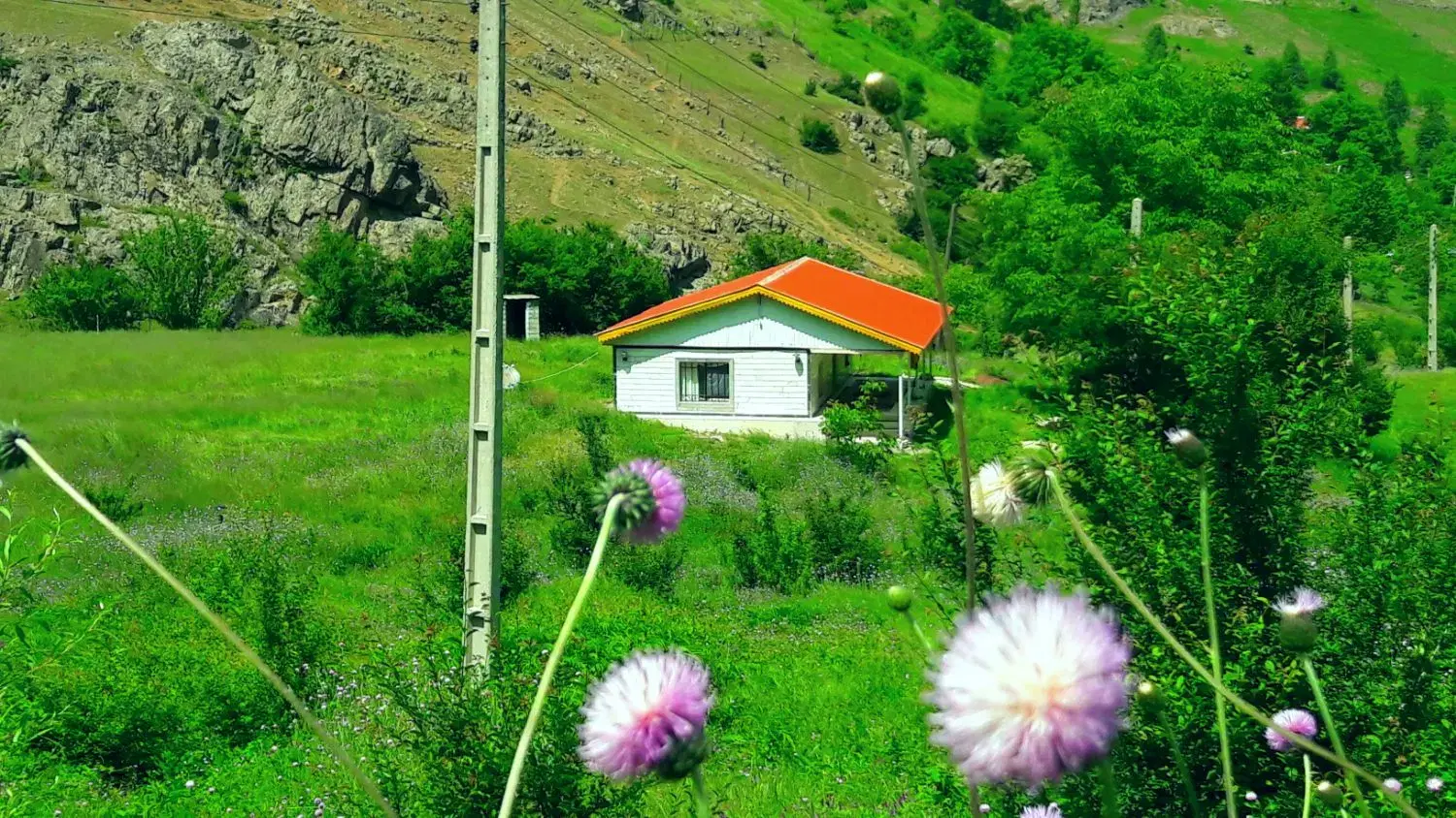 تصویر املاک 77078
