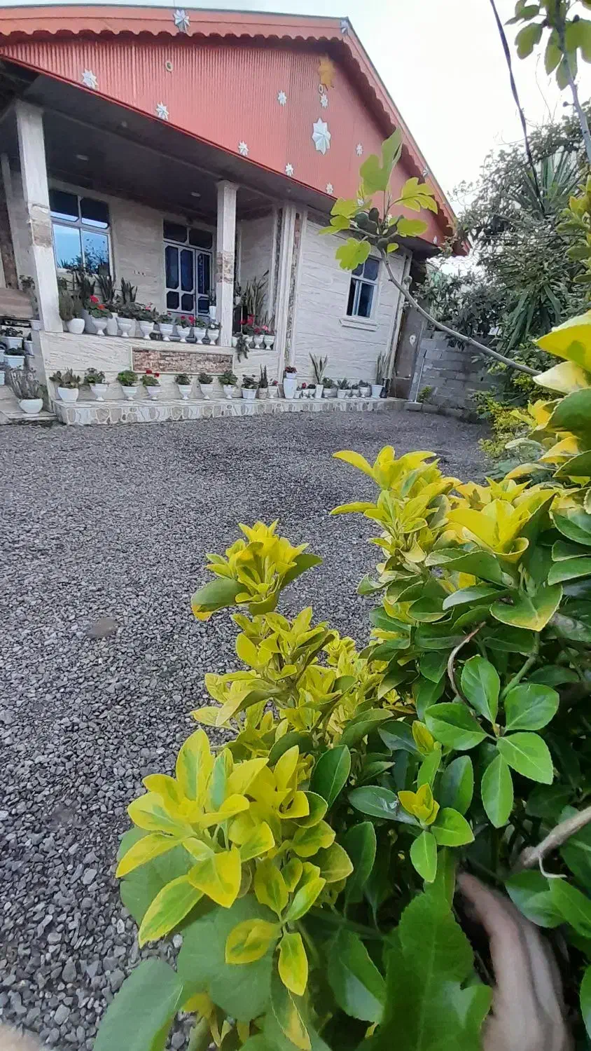 تصویر املاک 40337