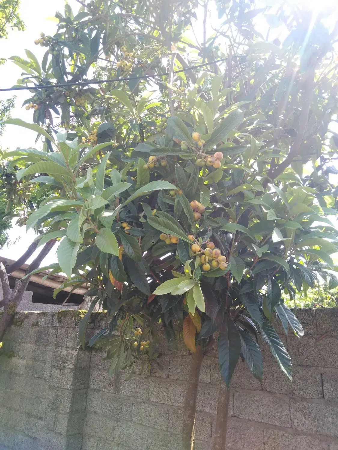 تصویر املاک 76541