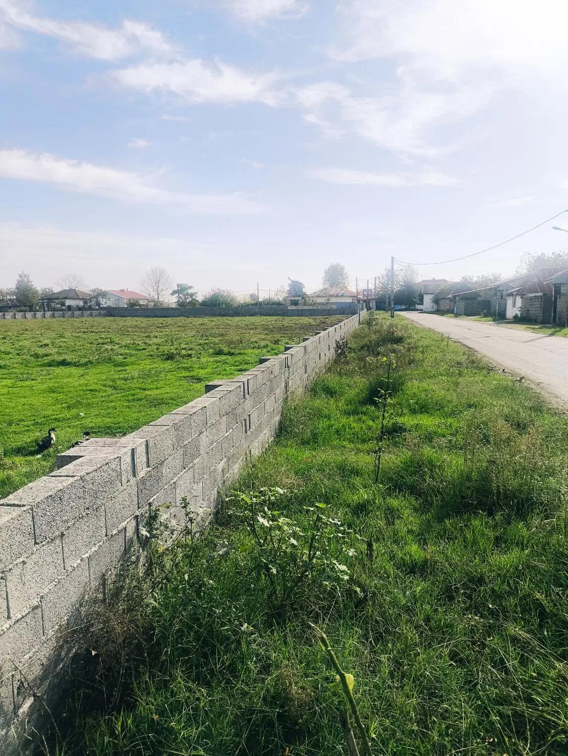 تصویر املاک 110965