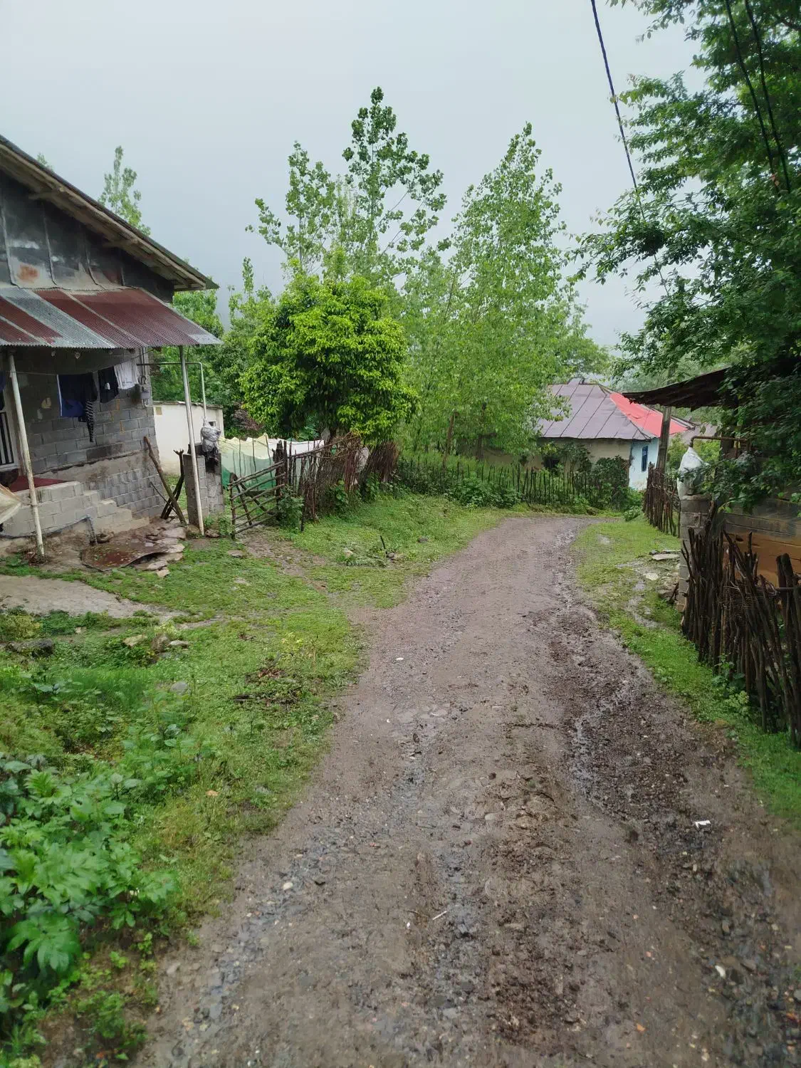 تصویر املاک 39152
