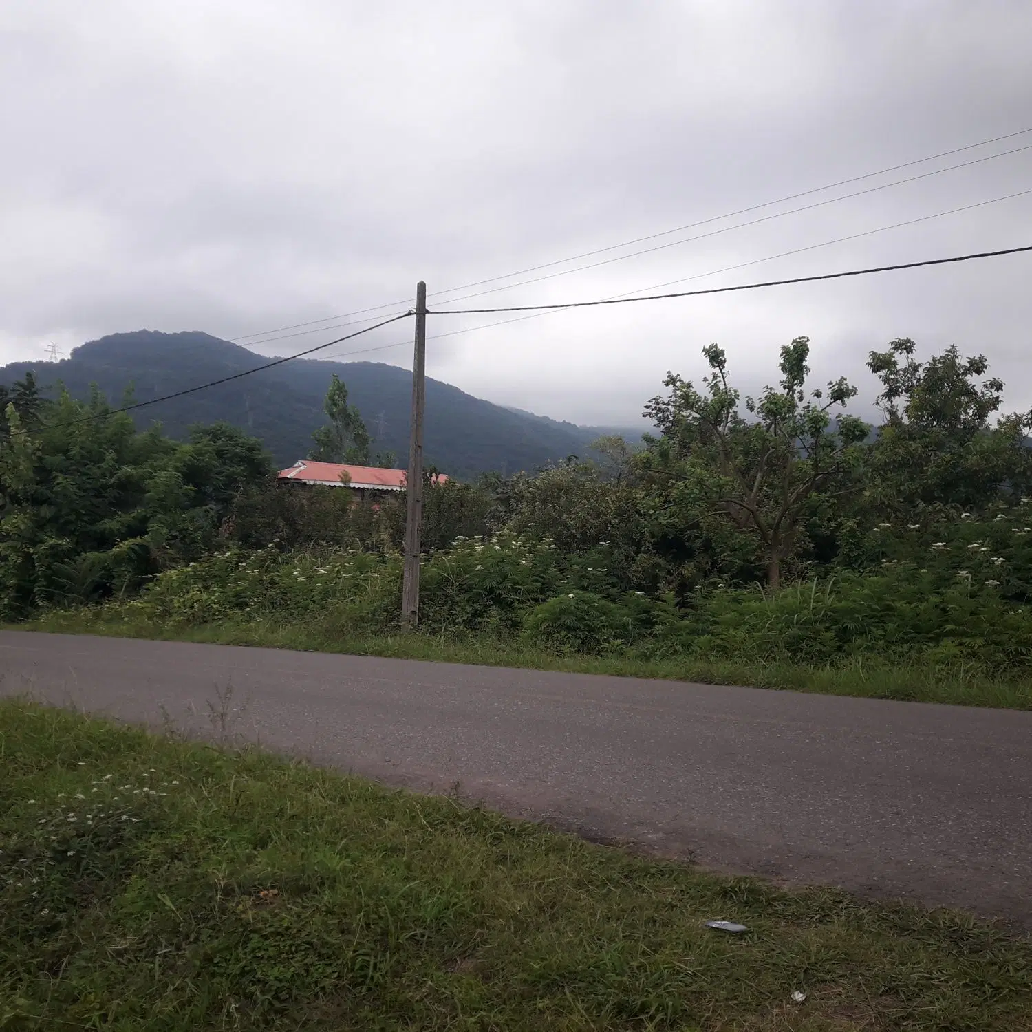 تصویر املاک 76402