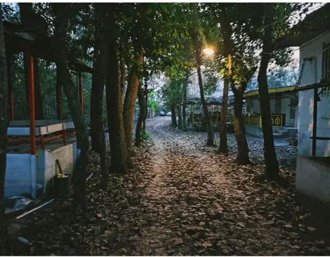 تصویر املاک 128617