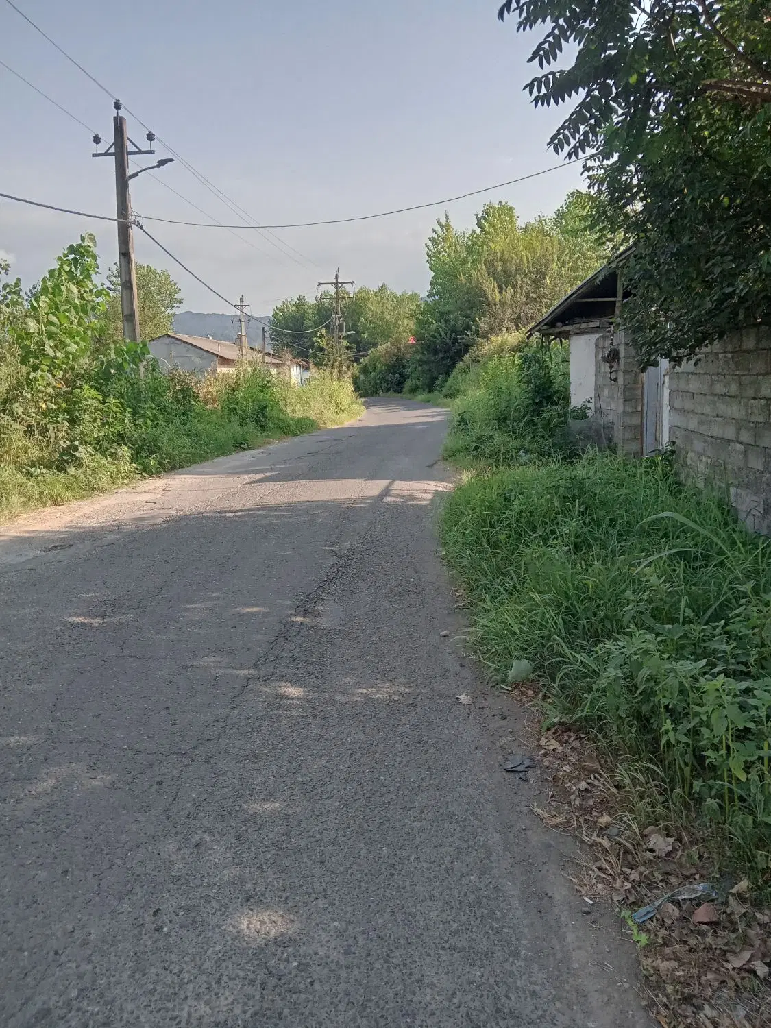 تصویر املاک 98232