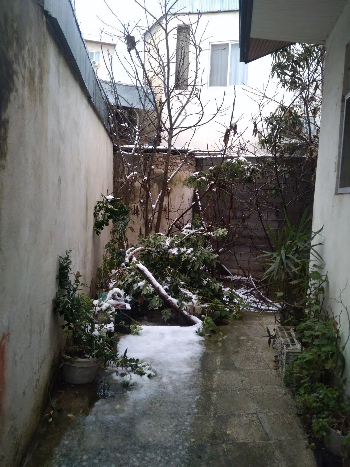 تصویر املاک 98559