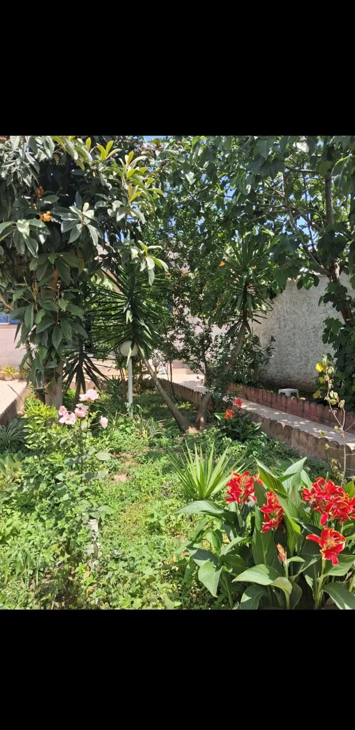 تصویر املاک 114195