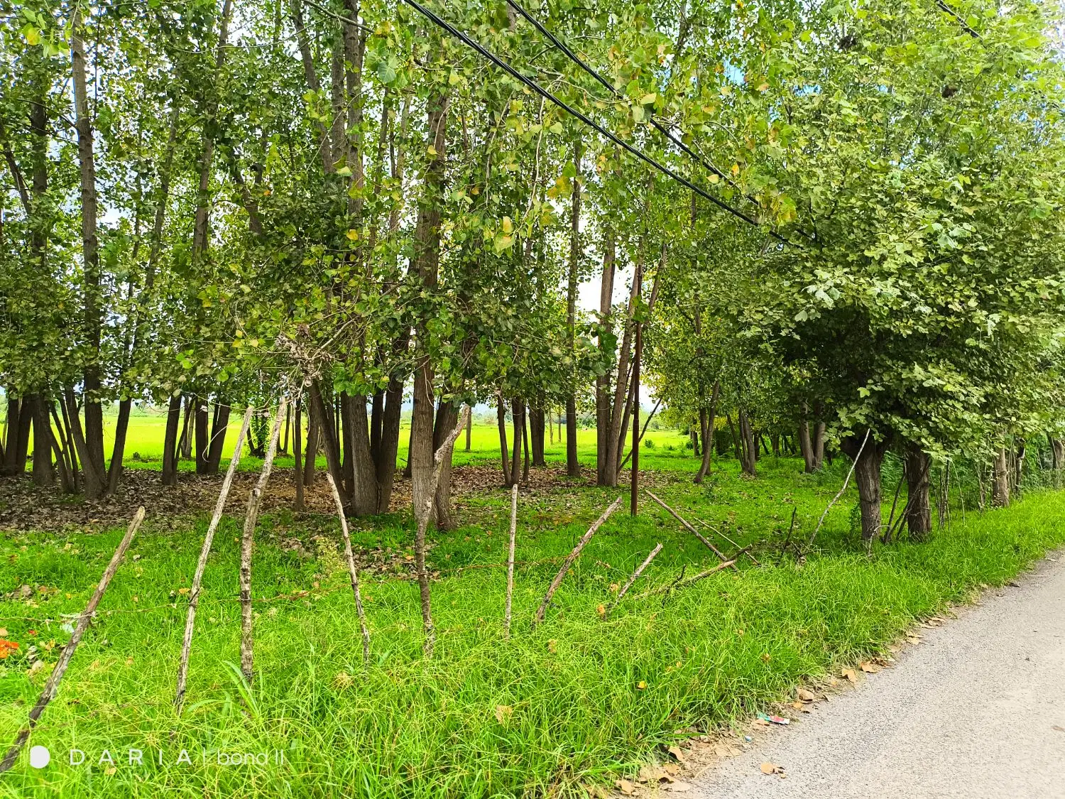 تصویر املاک 128199