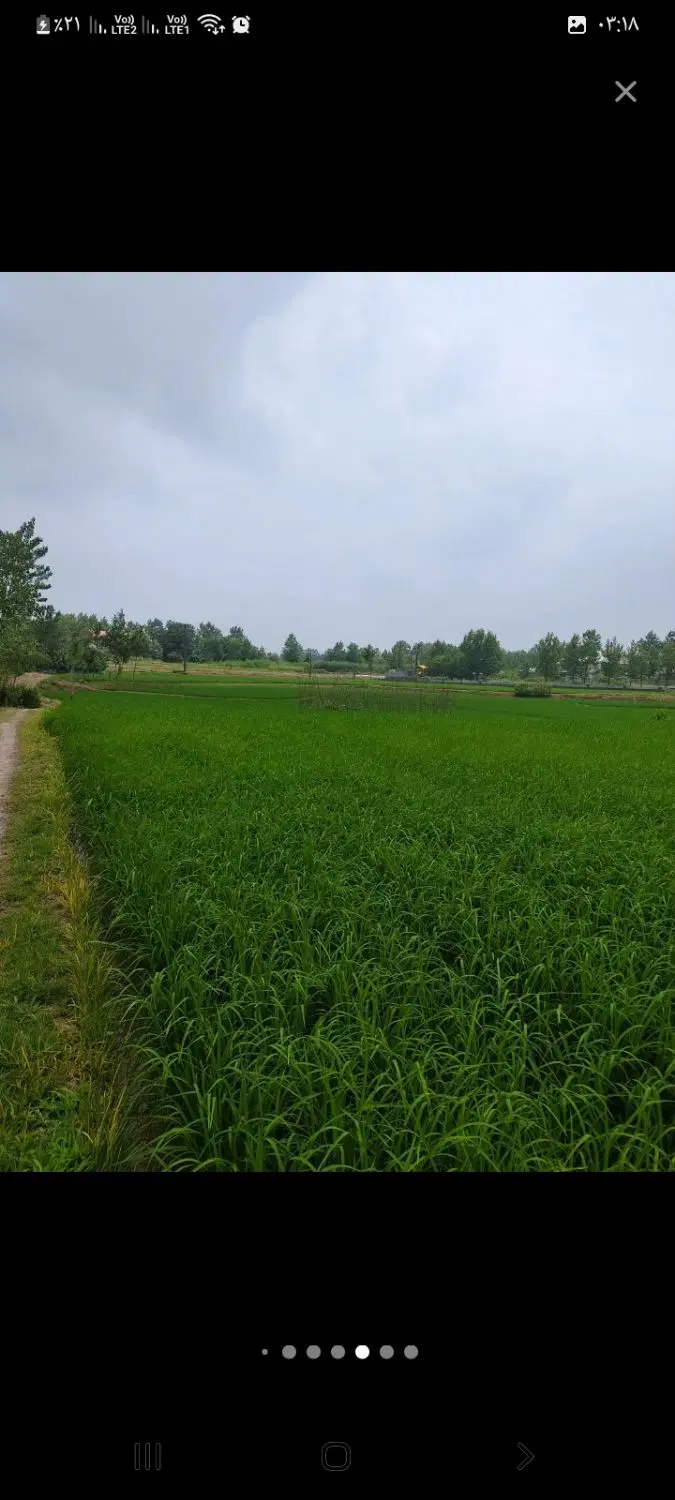 تصویر املاک 113058