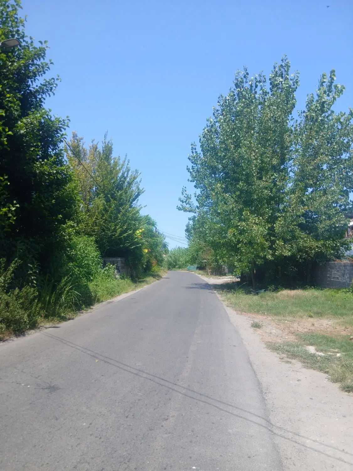 تصویر املاک 95489