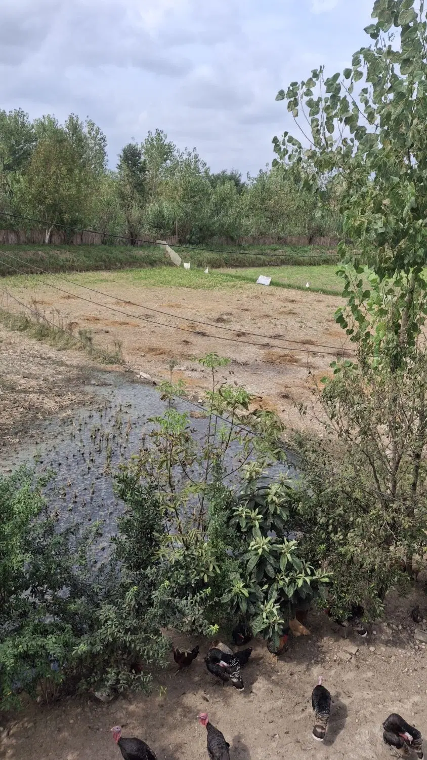 تصویر املاک 137370
