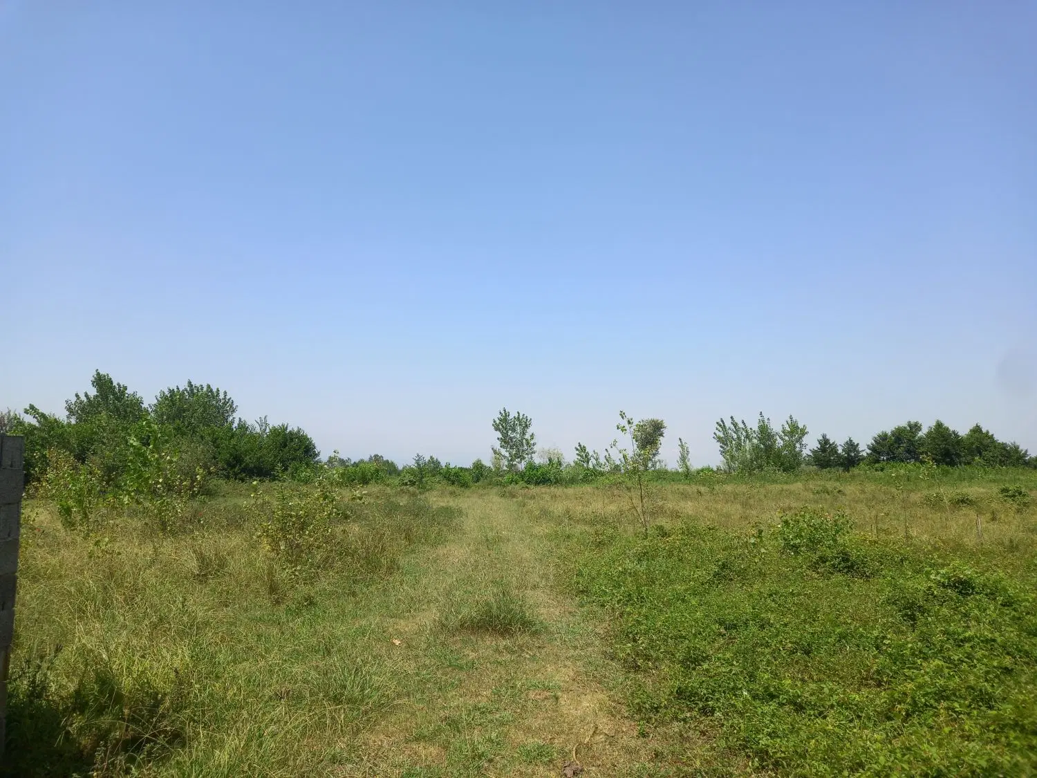 تصویر املاک 100661
