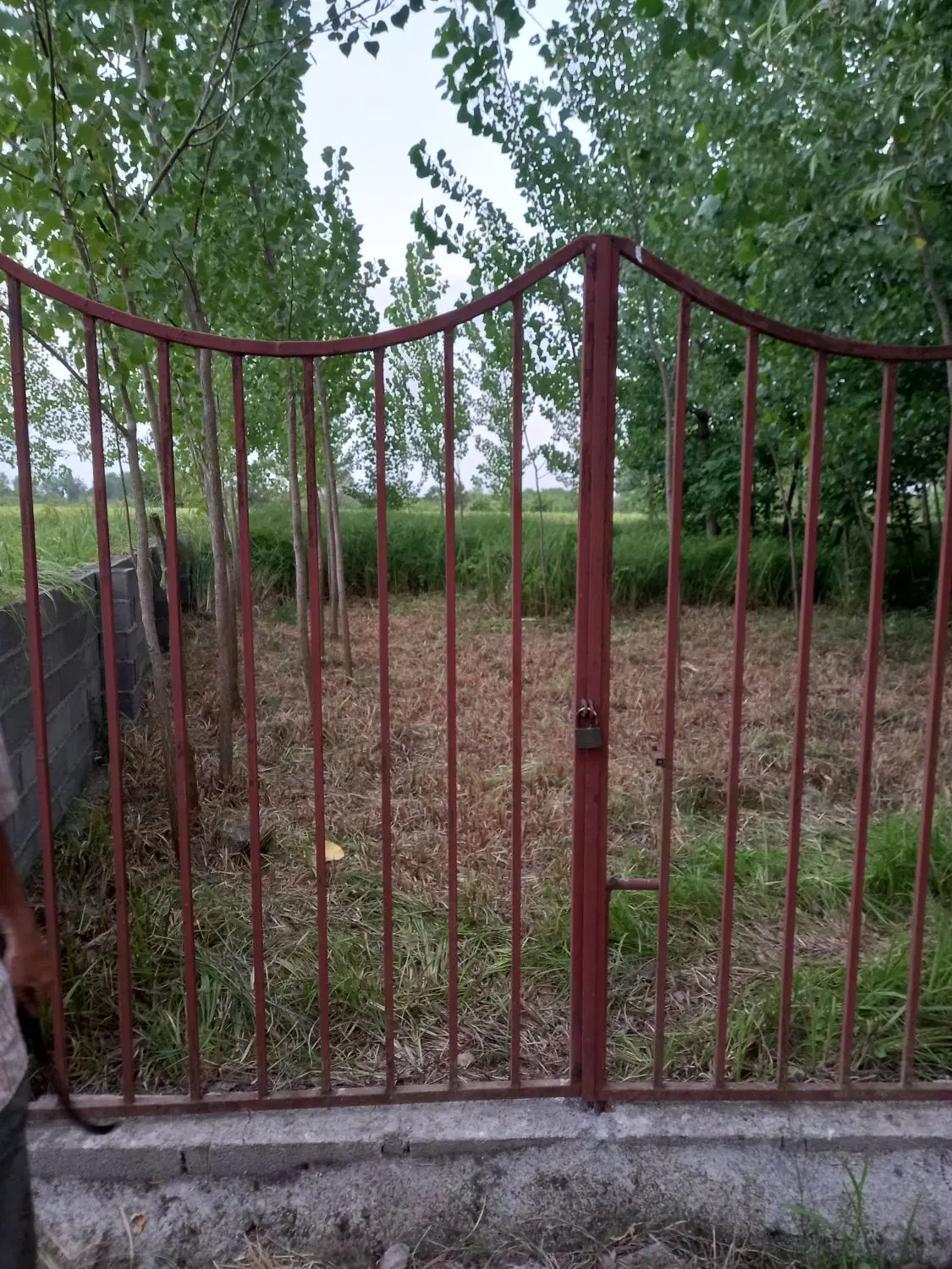 تصویر املاک 108796