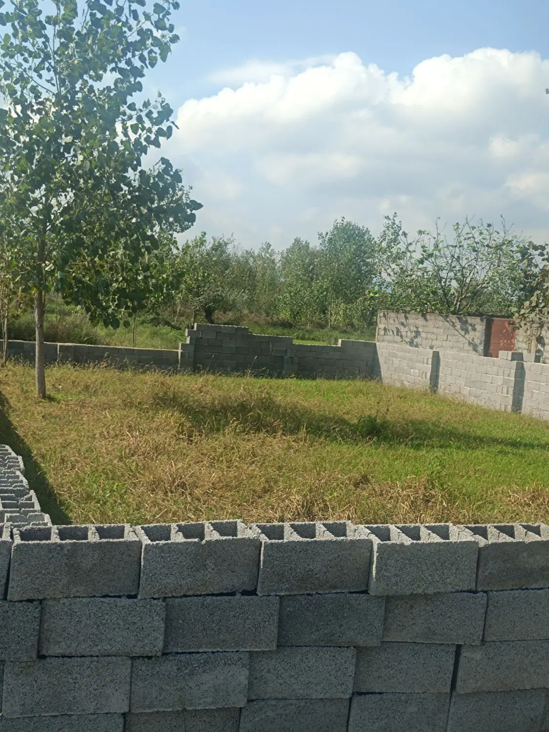 تصویر املاک 145518