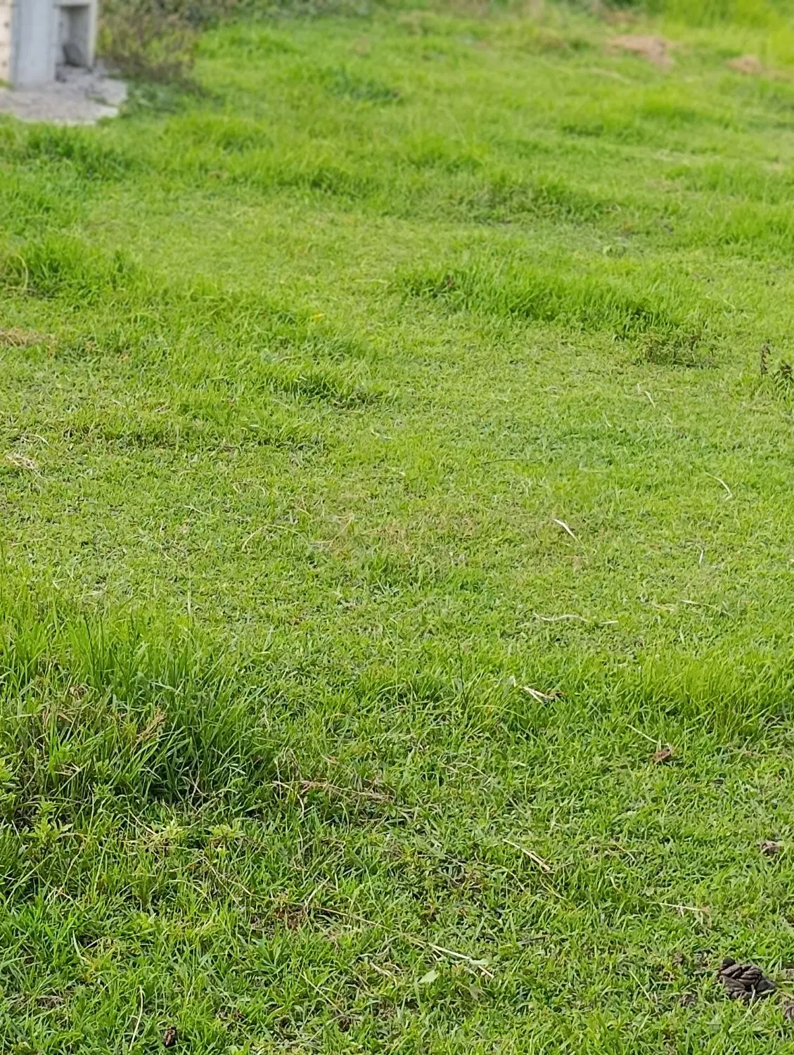 تصویر املاک 115851