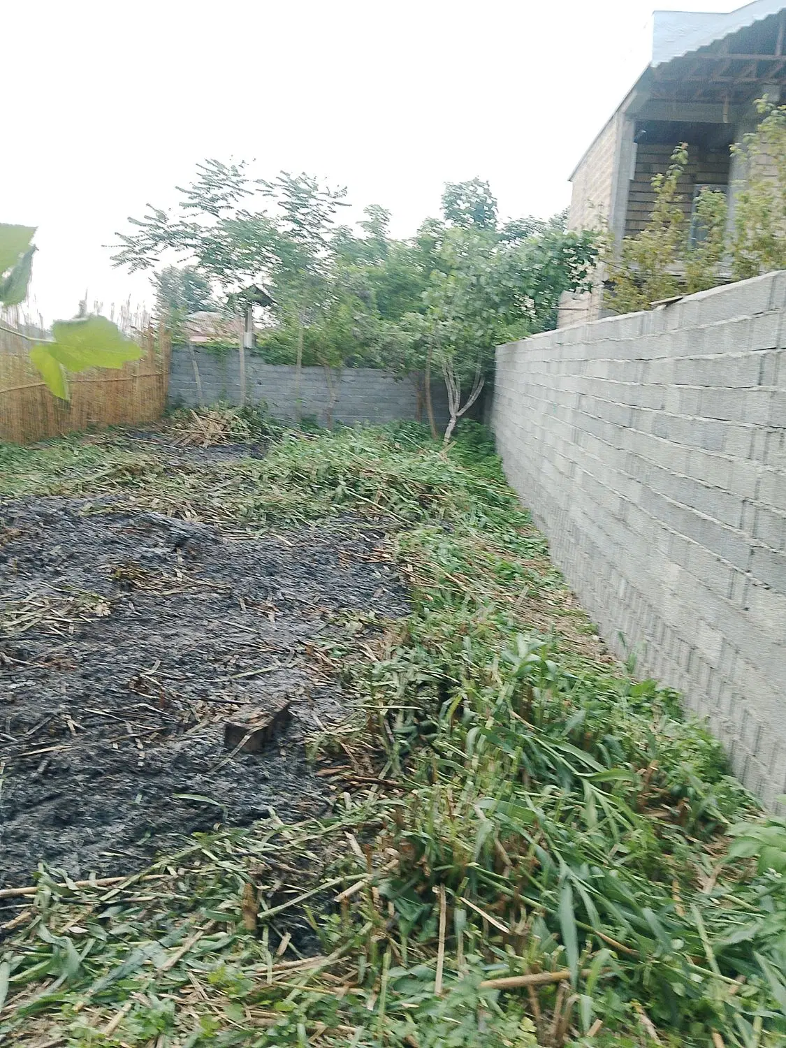 تصویر املاک 111040
