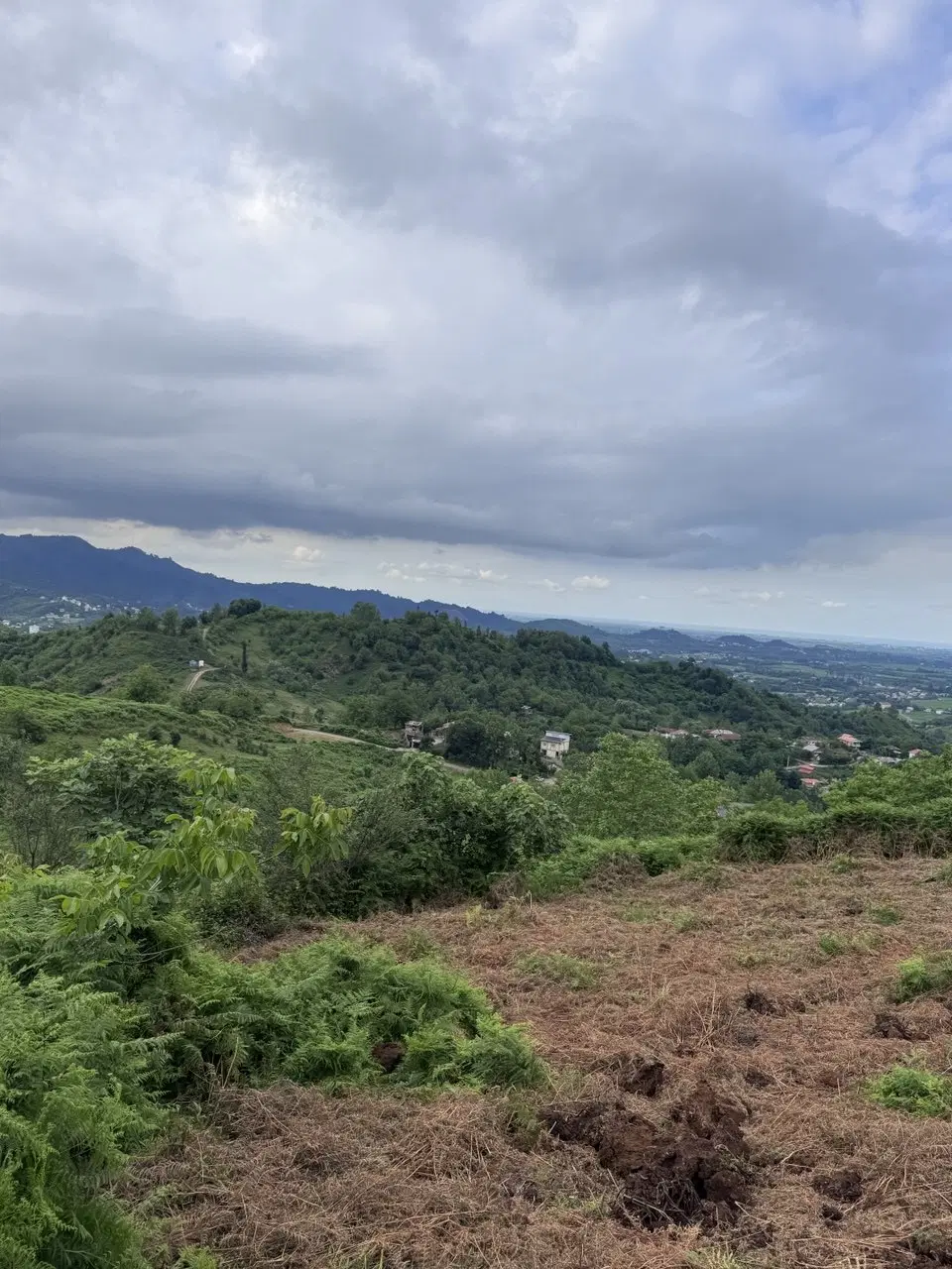 تصویر املاک 117167