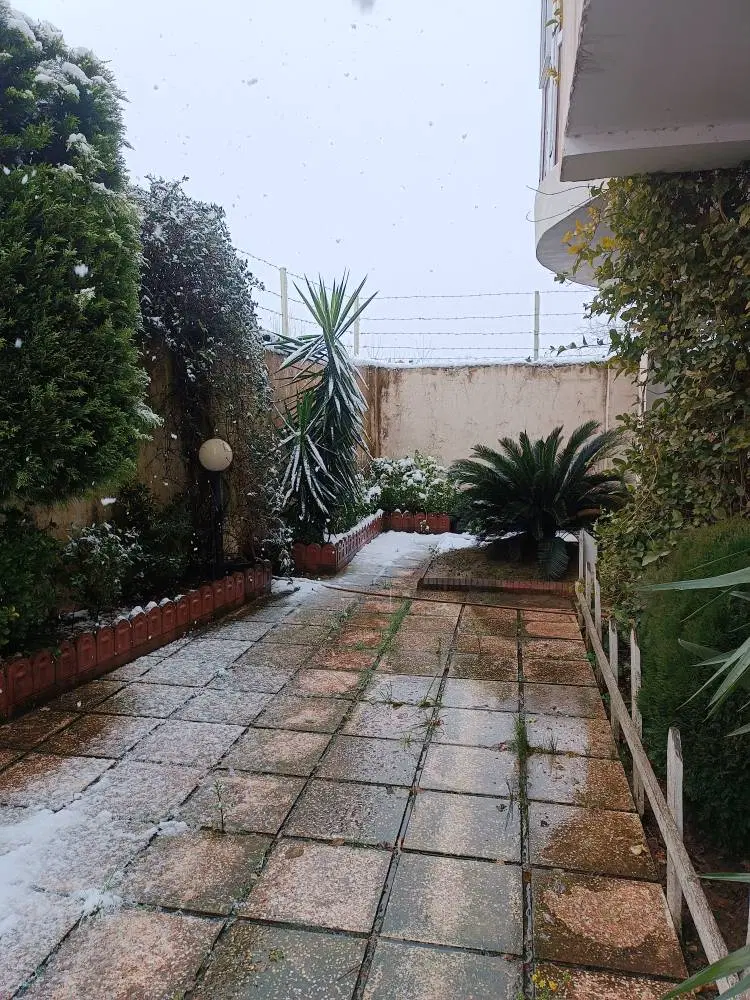 تصویر املاک 118240