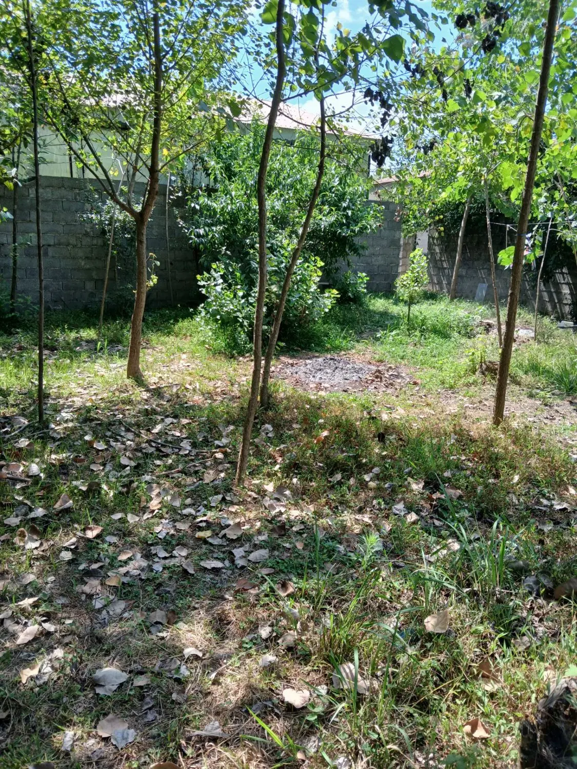 تصویر املاک 95223