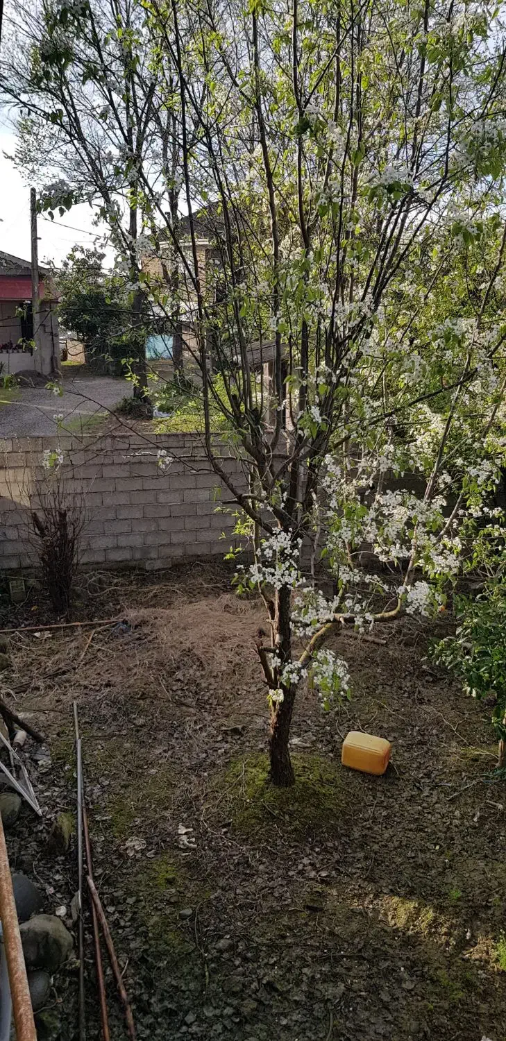 تصویر املاک 40100