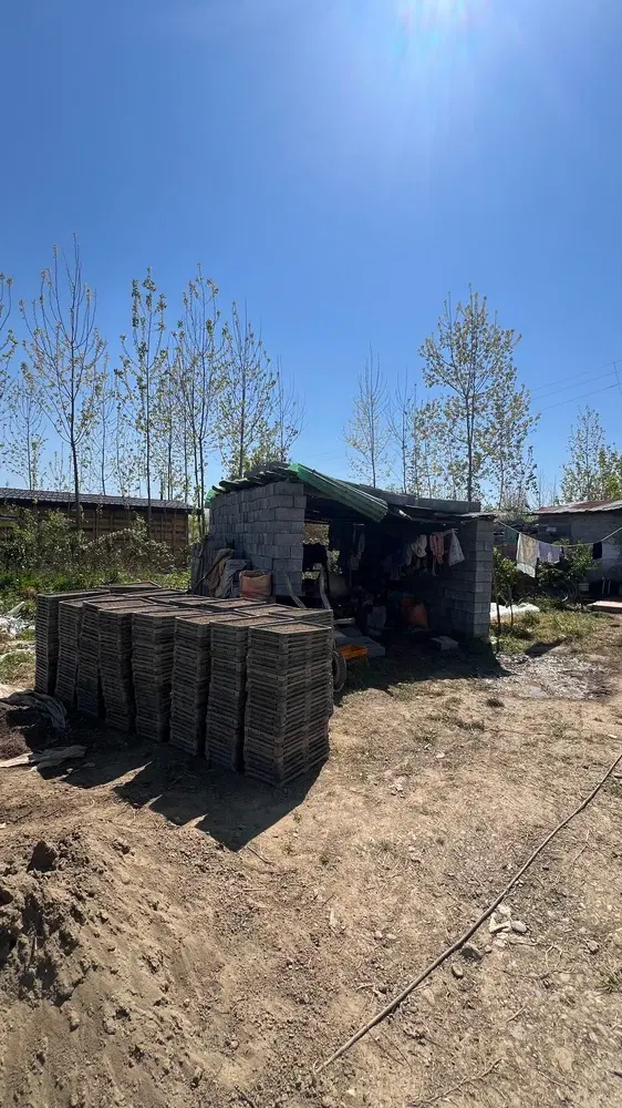 تصویر املاک 43748