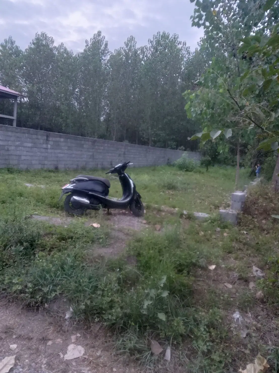 تصویر املاک 131263