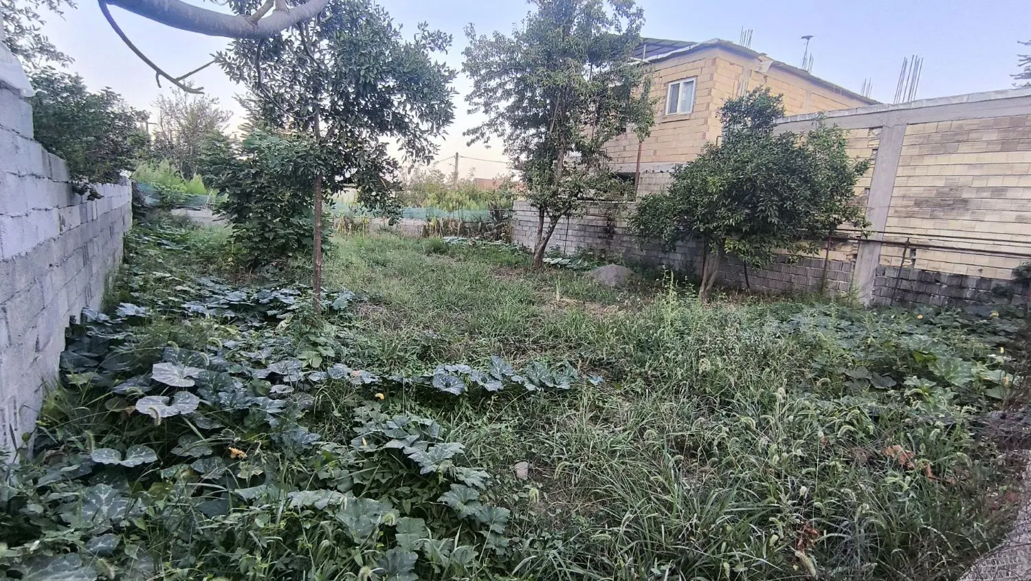 تصویر املاک 111974