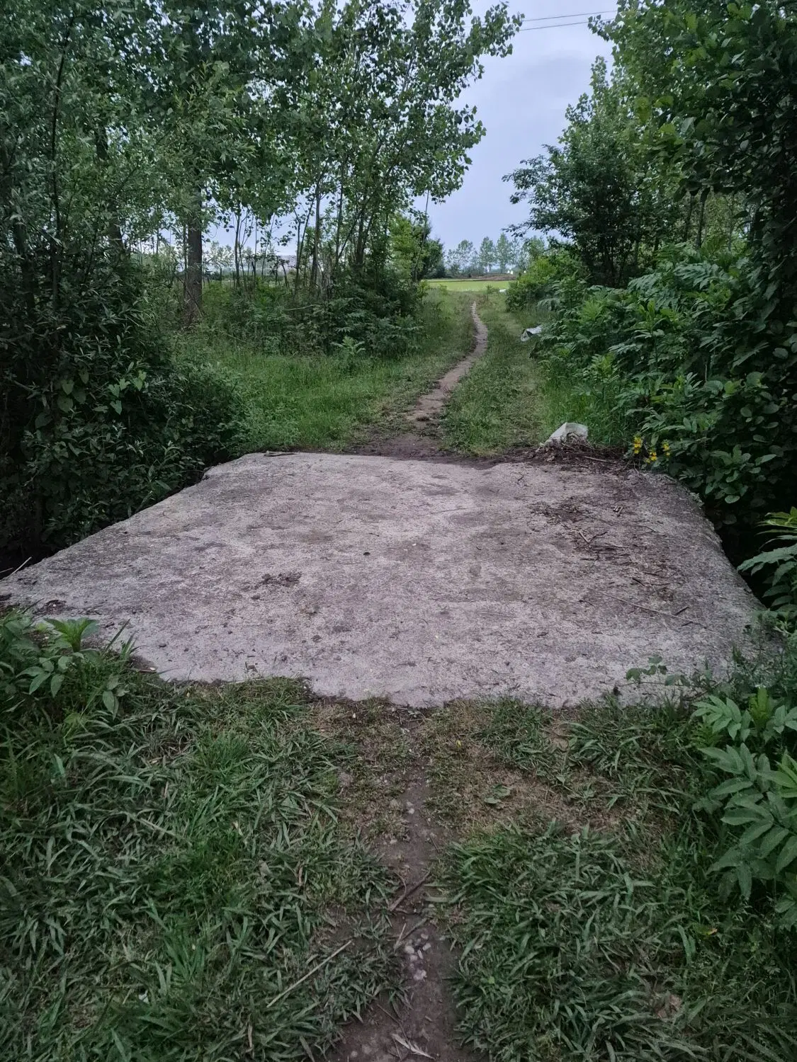 تصویر املاک 105563