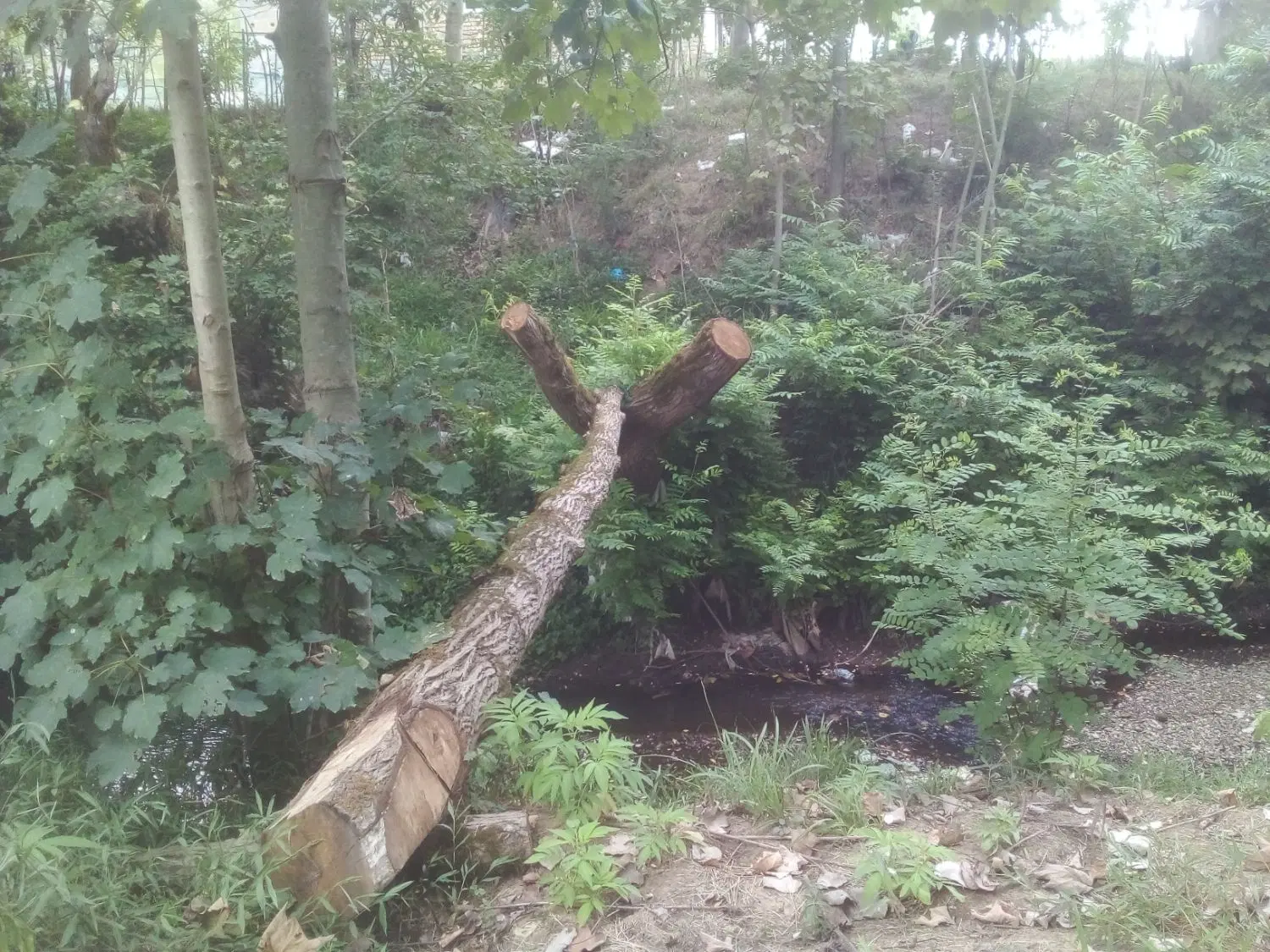 تصویر املاک 141554