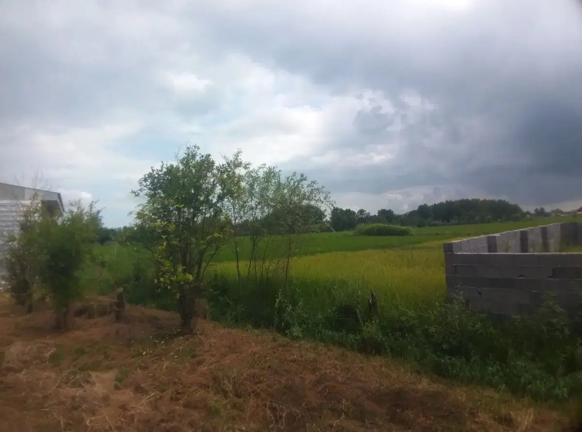 تصویر املاک 113350