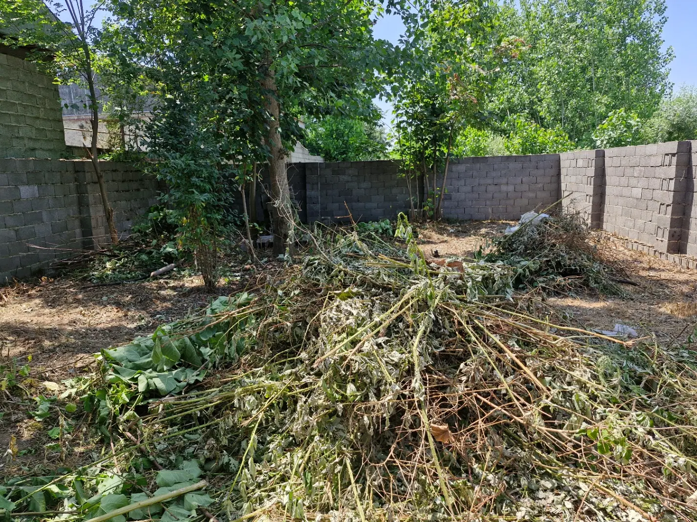 تصویر املاک 115757
