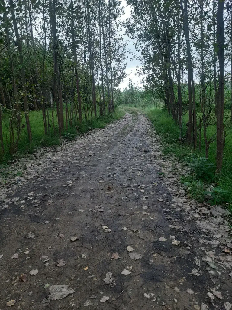 تصویر املاک 143031